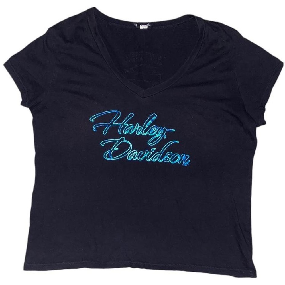 Vintage Y2K Harley Davidson Motorcycles Pampa Bay V-Neck T-shirt T-shirt